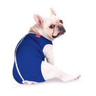 Roupa Pós Cirúrgica Para Cães Nº 1 (1 A 1,4 Kg) - Azul