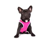 Roupa Pós Cirúrgica Para Cães Nº 1 (1 A 1,4 Kg) - Rosa