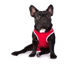Roupa Pós Cirúrgica Para Cães Nº 1 (1 A 1,4 Kg) - Vermelho