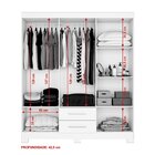 Roupeiro 6 Portas Com 2 Gavetas Nt 5130 Com Pé Flex Freijó Tr