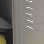 Roupeiro Aço Portas Pequenas Trinco Para Cadeado Cinza Com Ve