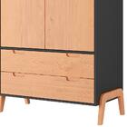 Roupeiro Com 2 Portas E 2 Gavetas Bf1007 Grafite Pinus Hec