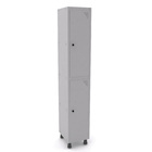 Roupeiro De Aço 1m 02 Portas Pitão Pandin - Cinza