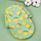 Roupinha Para Cachorro Gato P Em Poliéster De Limão - Casambi