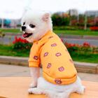 Roupinha Para Cachorro Gato P Em Poliéster De Urso Amarelo -