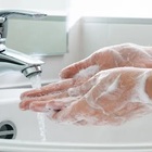 Sabonete Anti-septico - Sabonete Liquido - Perol - 5l