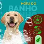 Sabonete Liquido De Ervas Para Pet - 300ml - Botica Natural P