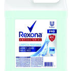 Sabonete Rexona Antibacterial - Limpeza Profunda - 05 Litros