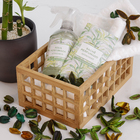 Sachê Perfumado Aconchego 15g Verde