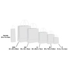 Sacola Papel e Fibra Bege Cromus