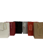 Sacola Presente Luxo Com Cartão De Identificação - Kit 6 Peça