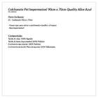 Saia Para Cama Box Colchobox Ajustavel Riollen Queen Ou King