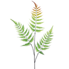 Samambaia Boston Verde Outono