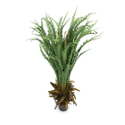 Samambaia Folhagem Artificial Cheia Com Pote X60 Verde 80 Cm
