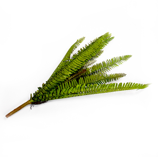 Samambaia Folhagem Artificial Com Print Verde 10x65 Cm - D'ro