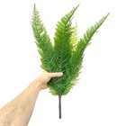 Samambaia Renda Portuguesa Permanente Decorativa