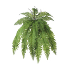 Samambaia Verde 78cm