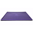 Sanitário Sanidog Para Cães Higiênico Lavável Ld Pet  Azul