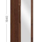 Sapateira 1 Porta 1 Gaveta Com Espelho Ouro Café 2245w - Fine