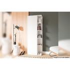 Sapateira 1 Porta 8 Prateleiras Castanho Bst 18 - Brv Móveis