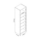 Sapateira 1 Porta Com Espelho 100 Mdf Gold Gelius