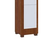 Sapateira 1 Porta Com Gaveta E Kit Espelho June - Ipê – Mirar