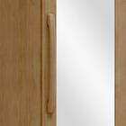 Sapateira 1 Porta Espelho Madeira Maciça 194x47 Cm 2255 Milan