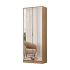 Sapateira 2 Portas 1 Gaveta E Espelhos Multimóveis Cr35179