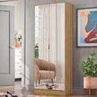 Sapateira 2 Portas Com Espelho 1 Gaveta Grife D02 Amendola To