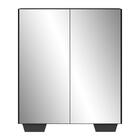 Sapateira 2 Portas Com Espelho Nina Multimóveis Preta