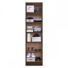 Sapateira Basic 2 Portas 5 Prateleiras Cacau Brilho - Decibal