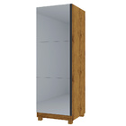 Sapateira Com Espelho 1 Porta Gold Madeirado - Gelius