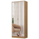 Sapateira Com Espelho 2 Portas 01 Gaveta Grife  Amendola