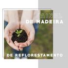 Sapateira Escritório Branca E Tubos Cromados Carraro