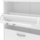 Sapateira Fortaleza Para 12 Calçados 3 Portas Basculantes Ben