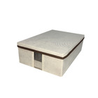 Sapateira Grande Com Visor Tampa Caixa Multiuso Para Closet-