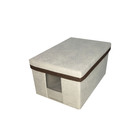 Sapateira Individual Com Visor E Tampa Caixa Infantil - L 15c