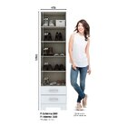 Sapateira Leon D195 2 Gavetas 1 Porta Com Espelho Henn.