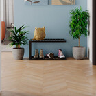 Sapateira Moderna Estilo Industrial Persei 60x30x30