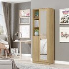 Sapateira Multiuso Organizador 2 Portas Lince Com Espelho Esp