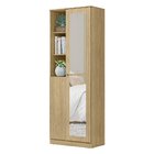 Sapateira Multiuso Organizador 2 Portas Lince Com Espelho Esp