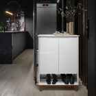 Sapateira Organizadora 2 Portas Hall Flow Branco - Rede Móveis