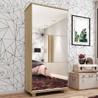 Sapateira Organizadora Com Espelho Reddie Niagara