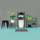 Sapateira Quatro Andares Mor