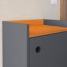 Sapateira Shoes Hall Entrada Assento 1 Porta Prateleiras Orga