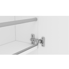 Sapateira Suspensa Com Espelho Multiuso 01 Porta 04 Prateleir