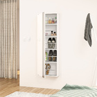 Sapateira Suspensa Com Espelho Multiuso 01 Porta 04 Prateleir