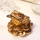 Sapo Da Riqueza Feng Shui Chan Chu Sorte Fortuna Poder 7cm