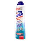 Sapólio Radium Cremoso Cloro 450ml - Embalagem Com 12 Unidades