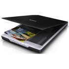 Scanner Epson Perfection V19 - B11b231201